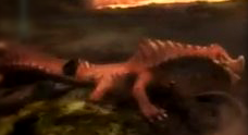 urokotoru.png