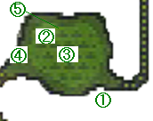 keiryu5.png