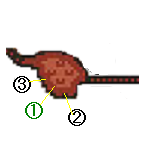 kazan10.png