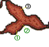kazan8.png